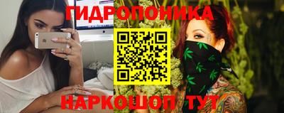 Альфа ПВП Дубна
