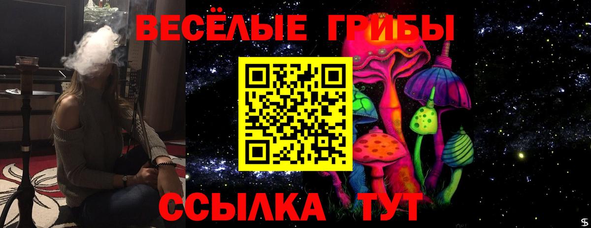 Псилоцибиновые грибы Cubensis Анапа