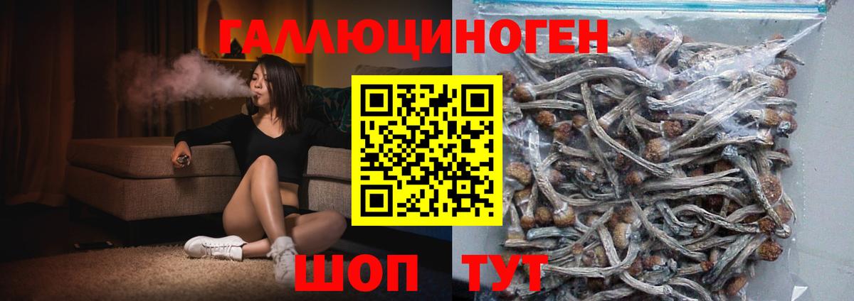 Анапа  Псилоцибиновые грибы мицелий  Галлюциногенные грибы Psilocybe  Вход с VPN 